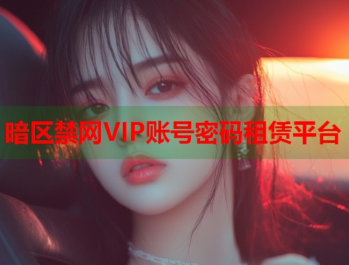 暗区禁网VIP账号密码租赁平台
