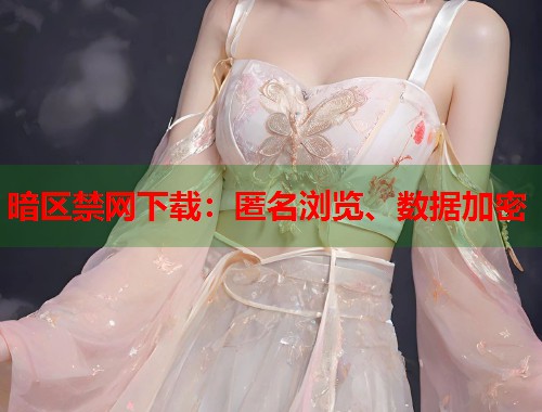 暗区禁网下载：匿名浏览、数据加密