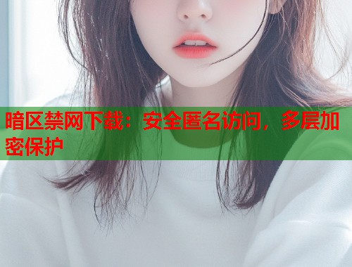 暗区禁网下载：安全匿名访问，多层加密保护