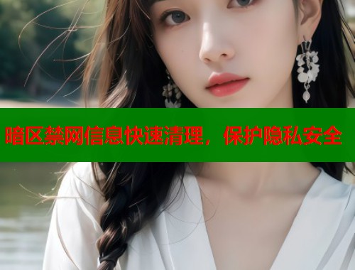 暗区禁网信息快速清理，保护隐私安全  第1张