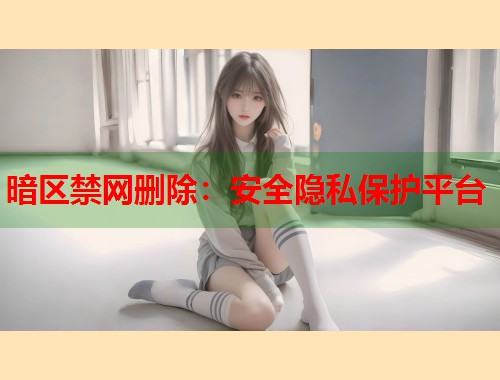 暗区禁网删除：安全隐私保护平台  第1张