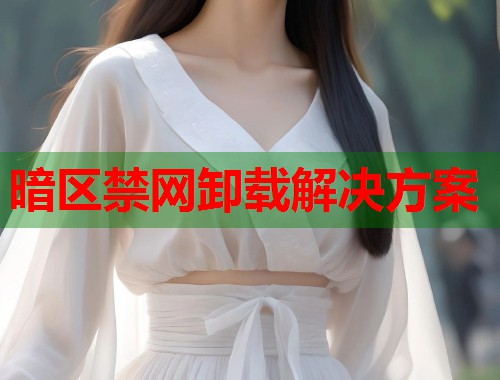 暗区禁网卸载解决方案