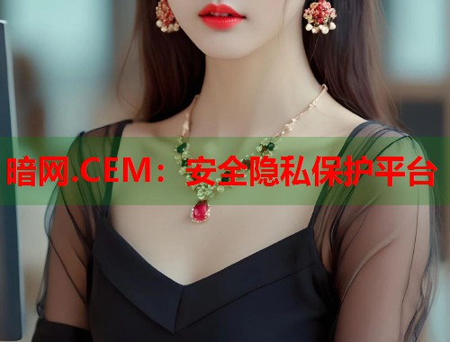 暗网.CEM：安全隐私保护平台