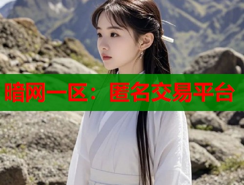 暗网一区：匿名交易平台