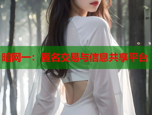 暗网一：匿名交易与信息共享平台  第1张