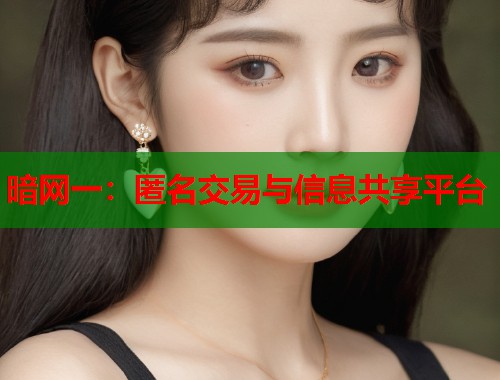 暗网一：匿名交易与信息共享平台  第2张