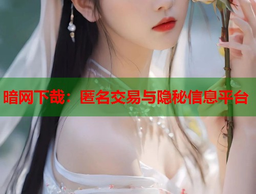 暗网下哉：匿名交易与隐秘信息平台  第1张