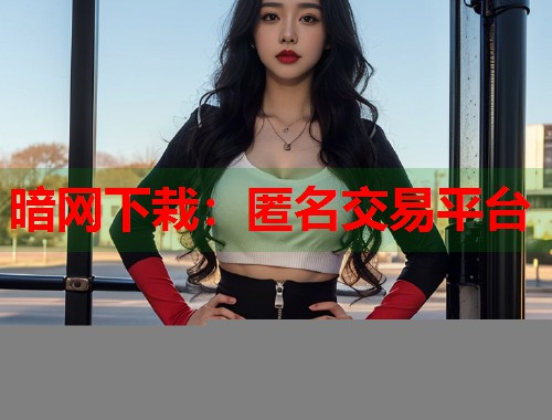 暗网下栽：匿名交易平台  第1张