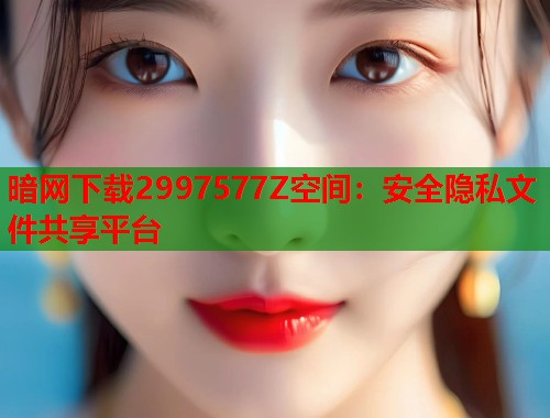 暗网下载2997577Z空间：安全隐私文件共享平台  第1张