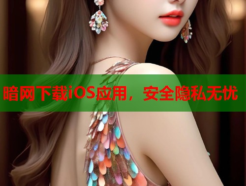 暗网下载iOS应用，安全隐私无忧  第1张