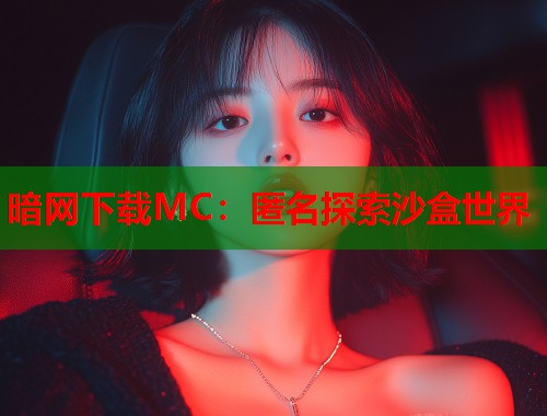 暗网下载MC：匿名探索沙盒世界  第1张