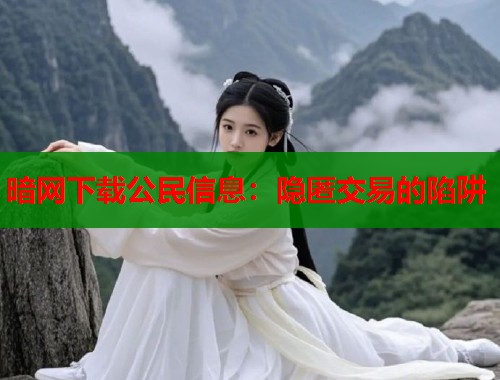 暗网下载公民信息：隐匿交易的陷阱  第1张