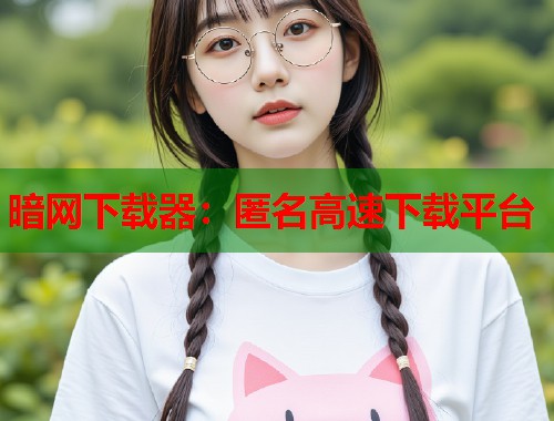 暗网下载器：匿名高速下载平台