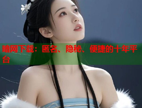暗网下载：匿名、隐秘、便捷的十年平台  第2张