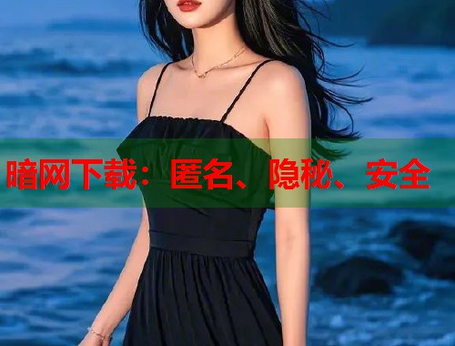 暗网下载：匿名、隐秘、安全
