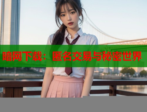 暗网下载：匿名交易与秘密世界  第1张