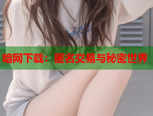 暗网下载：匿名交易与秘密世界  第2张