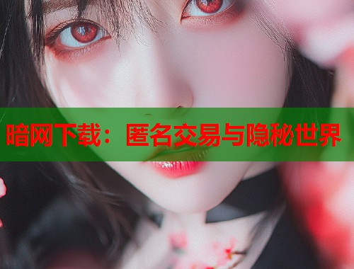 暗网下载：匿名交易与隐秘世界  第1张