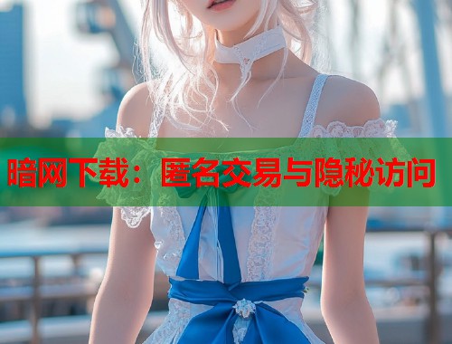 暗网下载：匿名交易与隐秘访问  第1张