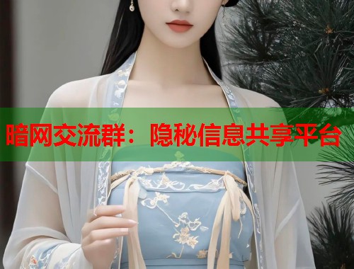 暗网交流群：隐秘信息共享平台  第2张