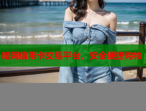 暗网信用卡交易平台，安全便捷购物  第1张