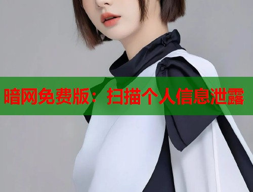 暗网免费版：扫描个人信息泄露  第1张