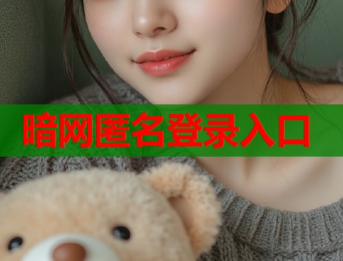 暗网匿名登录入口  第2张