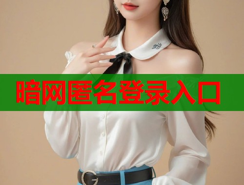 暗网匿名登录入口  第1张
