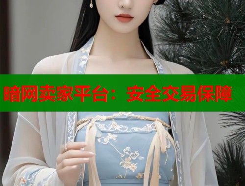 暗网卖家平台：安全交易保障  第1张