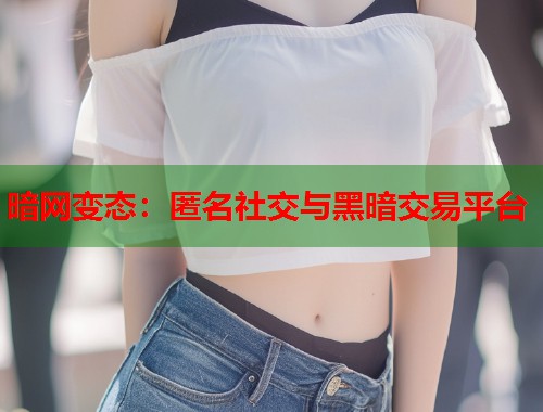 暗网变态：匿名社交与黑暗交易平台  第1张
