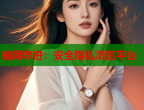 暗网咋进：安全隐私浏览平台  第1张