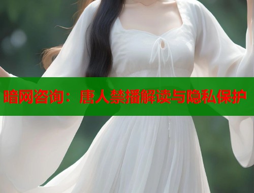 暗网咨询：唐人禁播解读与隐私保护  第1张