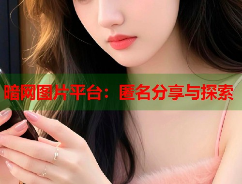 暗网图片平台：匿名分享与探索  第1张
