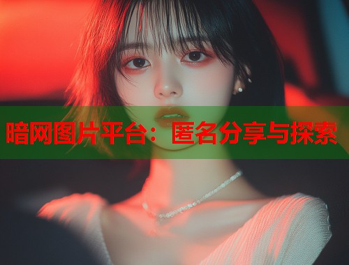 暗网图片平台：匿名分享与探索  第2张