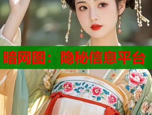 暗网图：隐秘信息平台  第1张