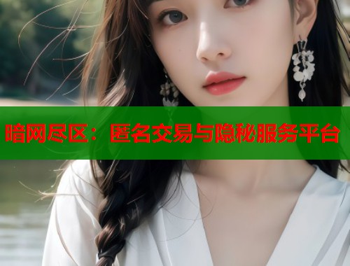 暗网尽区：匿名交易与隐秘服务平台  第1张