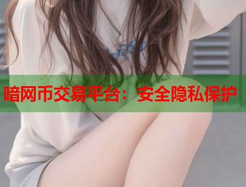 暗网币交易平台：安全隐私保护  第1张