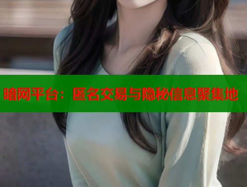 暗网平台：匿名交易与隐秘信息聚集地  第1张