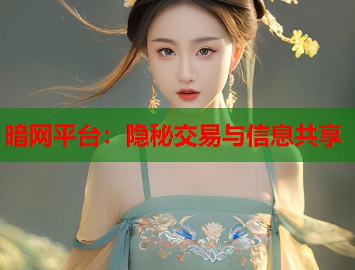 暗网平台：隐秘交易与信息共享  第1张