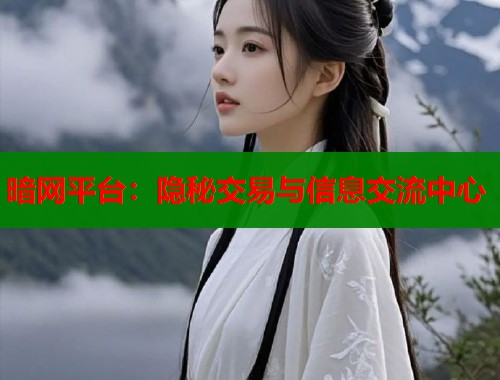 暗网平台：隐秘交易与信息交流中心  第1张