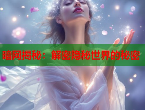 暗网揭秘：解密隐秘世界的秘密  第1张