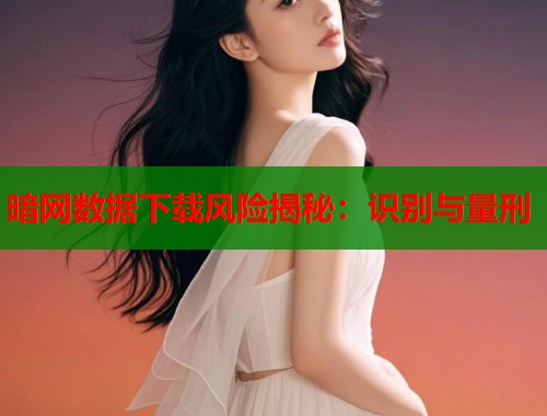 暗网数据下载风险揭秘：识别与量刑  第2张