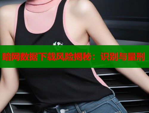暗网数据下载风险揭秘：识别与量刑  第1张