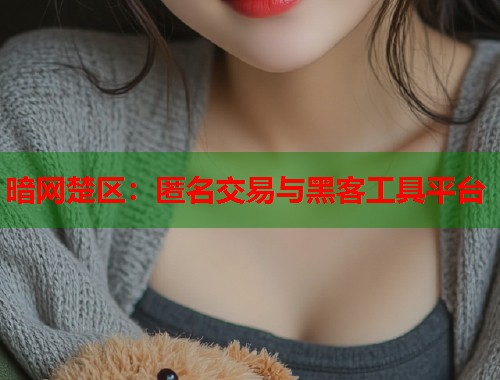 暗网楚区：匿名交易与黑客工具平台  第2张