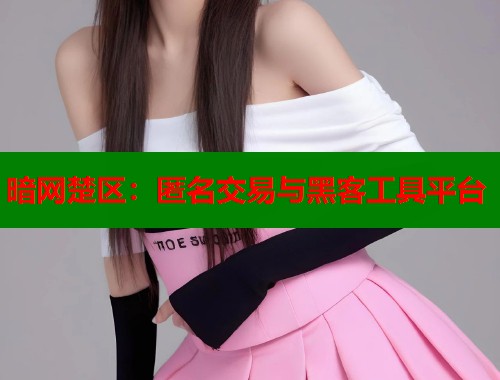 暗网楚区：匿名交易与黑客工具平台  第1张