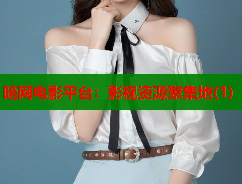 暗网电影平台：影视资源聚集地(1)  第2张