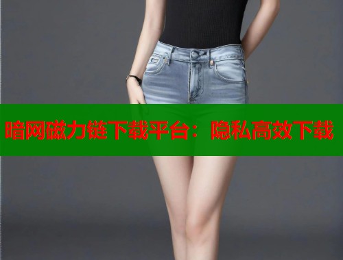暗网磁力链下载平台：隐私高效下载