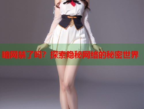 暗网禁了吗？探索隐秘网络的秘密世界  第1张
