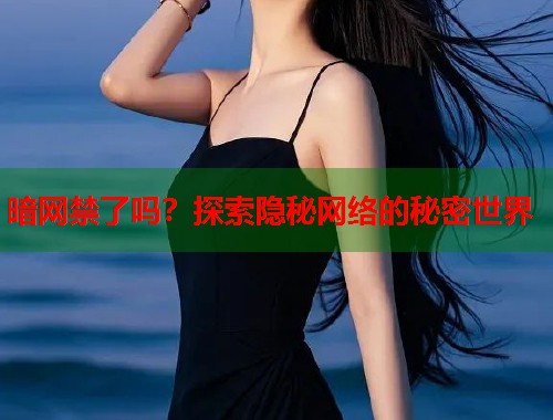 暗网禁了吗？探索隐秘网络的秘密世界  第2张
