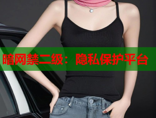 暗网禁二级：隐私保护平台  第1张